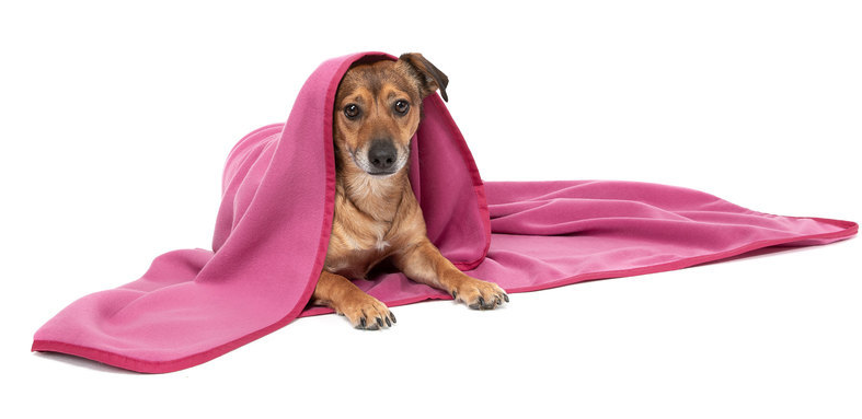 Kuscheldecke Fleece Pink