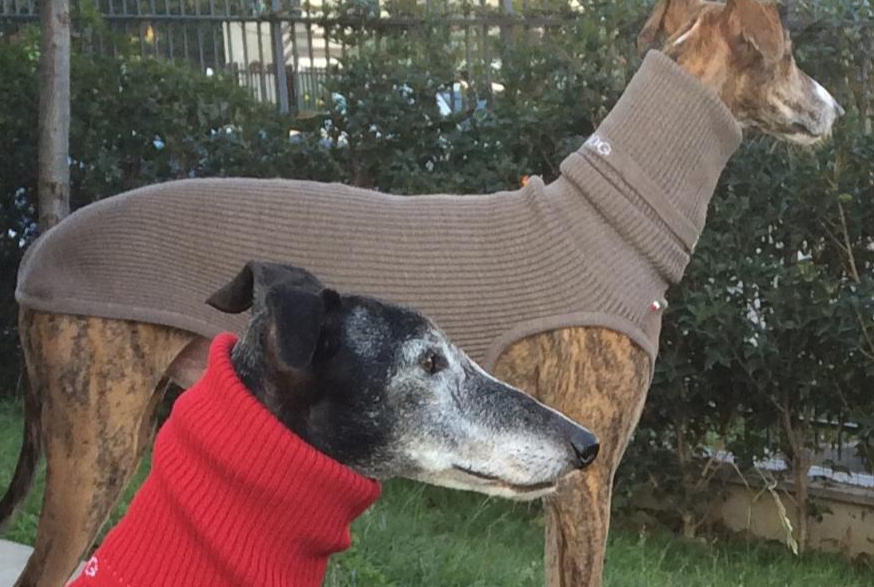 Strickpullover, LEVRIERI Taupe