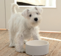 Cool Bowl Hellgrau – Bild 3