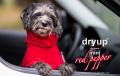 Dryup Cape mini Red Pepper – Bild 2