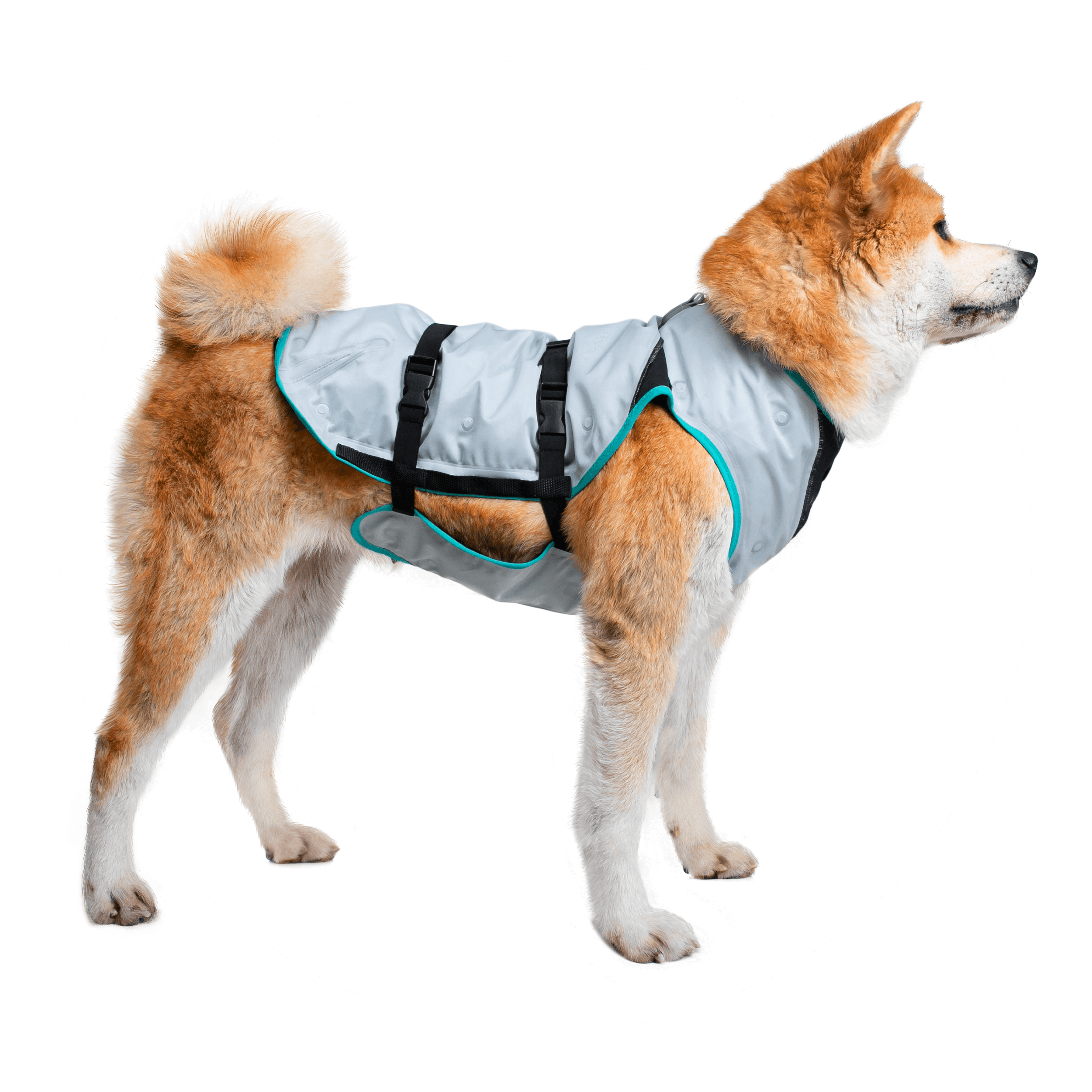 Dry Cooling Vest