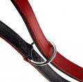 Verst. Führleine Love Rot – Bild 2