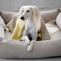 Hundedecke REVERSO, Sand-Yellow – Bild 6