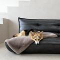 Hundesteppdecke Affair, Beige – Bild 4