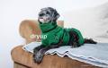Dryup Cape mini Dark Green – Bild 3