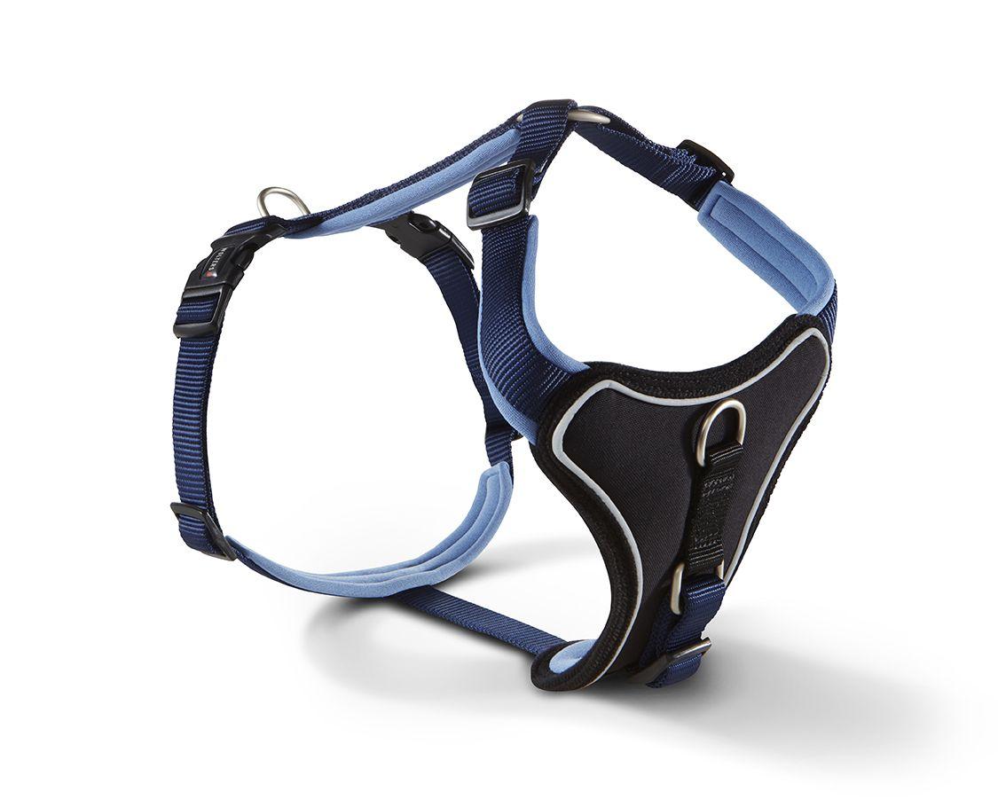 Geschirr Prof. Comfort Marine/Hellblau