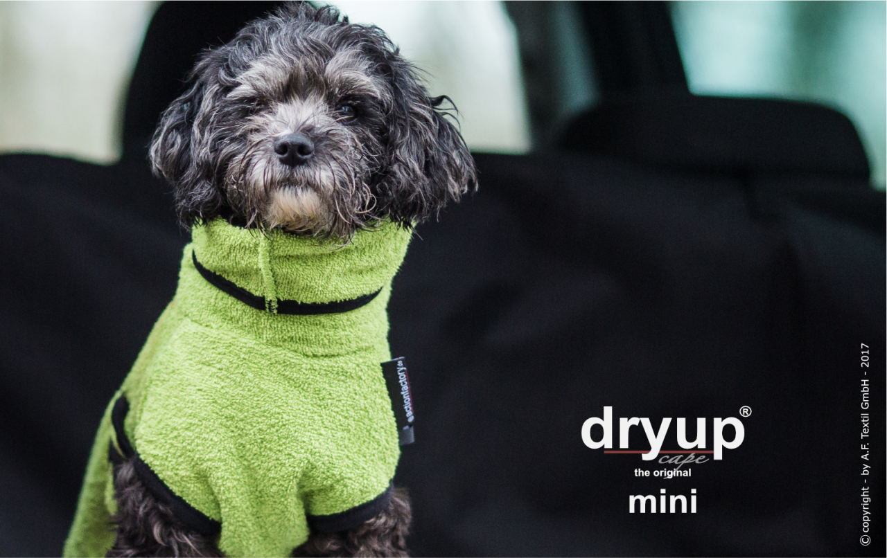 Dryup Cape mini Kiwi
