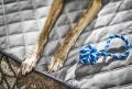 Hundesteppdecke Oxford - Samt Grey – Bild 3