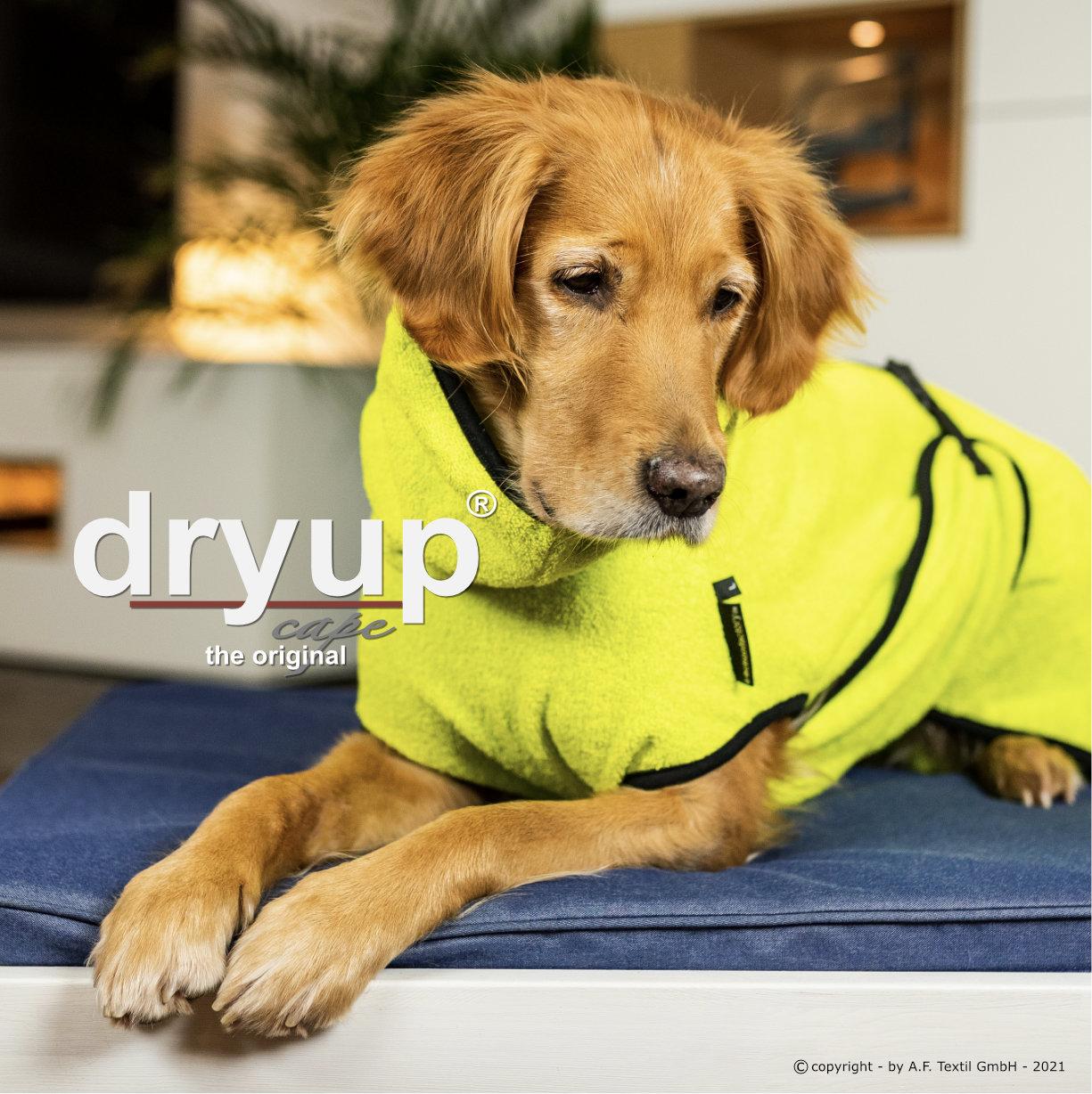 Dryup Cape Lime