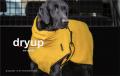 Dryup Cape Yellow – Bild 2