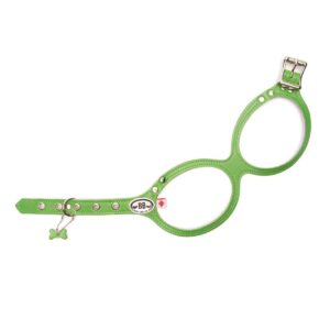 Buddy Belt Geschirr Sprout