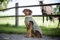Outdoor Regenjacke Modern Classic Rosa – Bild 3