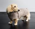 Hundemantel Brooklyn Dackel, Tweed, Beige – Bild 2