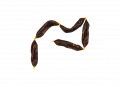 Bangers Horse – Bild 2