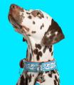 Halsband Dutchie Blau – Bild 2