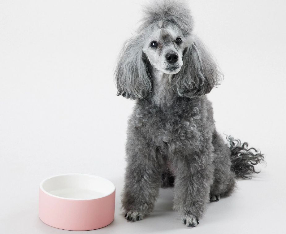 Cool Bowl Pink