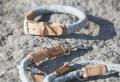 Lucca Halsband Nuvola/Nature – Bild 3
