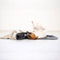 Hundedecke REVERSO, Grey – Bild 6