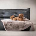Hundesteppdecke Affair, Beige – Bild 3