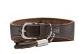 Windhundhalsband Rom – Bild 4