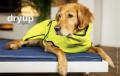 Dryup Cape mini Lime – Bild 3
