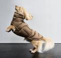 Hundemantel Alaska für Dackel, Sandy Brown – Bild 2