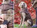 Outdoorjacke Mops & Co. – Bild 2