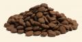 Essential The Beginning Large Breed, Welpen ab 15kg – Bild 2