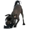 Hundespielzeug Kater Casanova – Bild 3