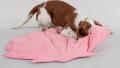 Spielmatte Muschel Pink – Bild 2