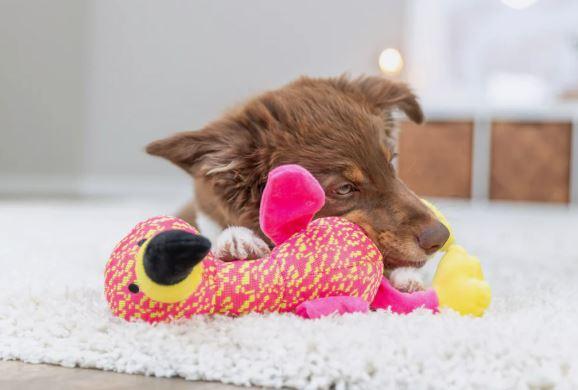 Hundespielzeug Flamingo – Bild 3
