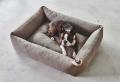 Sonno Box-Bett, Taupe – Bild 3