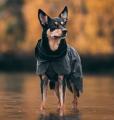 Hunderegenmantel reflektierend Schwarz – Bild 2