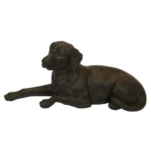Labrador