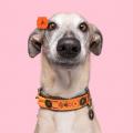 Halsband Boho Chica Orange – Bild 2