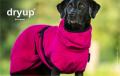 Dryup Cape Pink – Bild 2