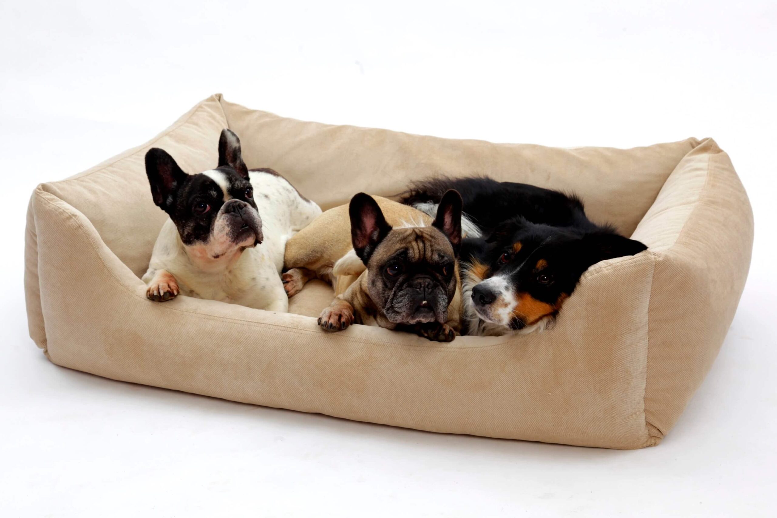 Box Bed Madison, Sand