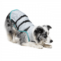 Dry Cooling Vest – Bild 3