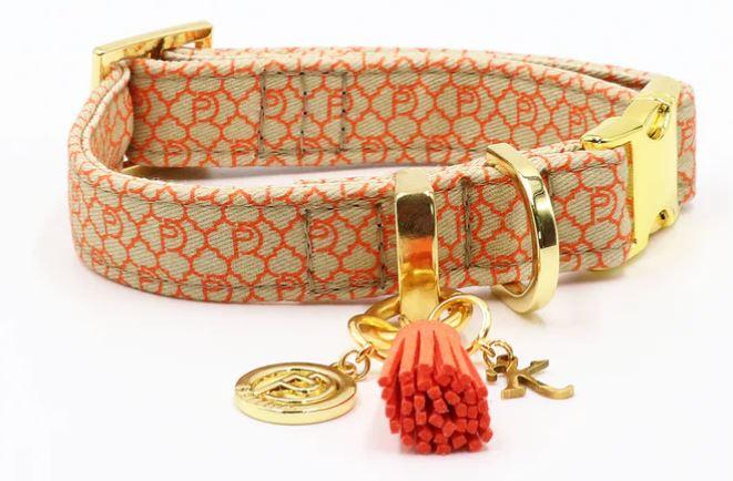 Hundehalsband SIGNATURE Orange