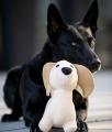 Hundespielzeug Dackel, Beige – Bild 5