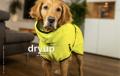 Dryup Cape Lime – Bild 2