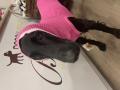 Strickpullover LEVRIERI Fuchsia – Bild 4
