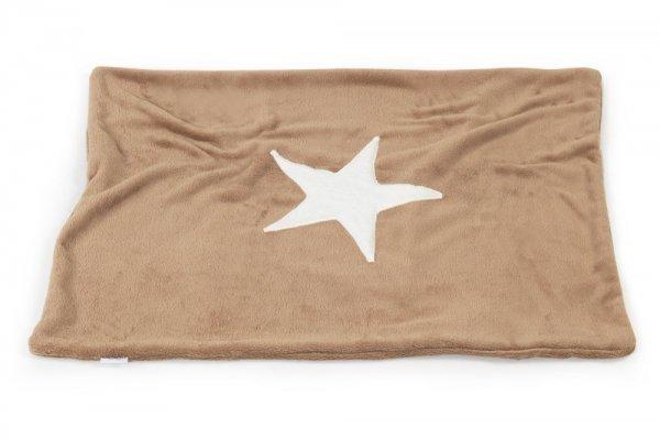 Plaid Pooch Braun, Stern Creme