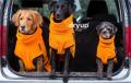 Dryup Cape mini Clementine – Bild 4