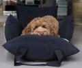 Hundeautositz Schwarz – Bild 5