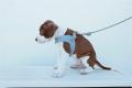 Harness in Leder Hellblau – Bild 2