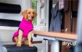 Dryup Cape mini Pink – Bild 2