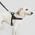 Harness Central Park Black – Bild 4
