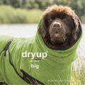 Dryup Cape Kiwi – Bild 5