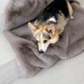 Hundesteppdecke Affair, Beige – Bild 5